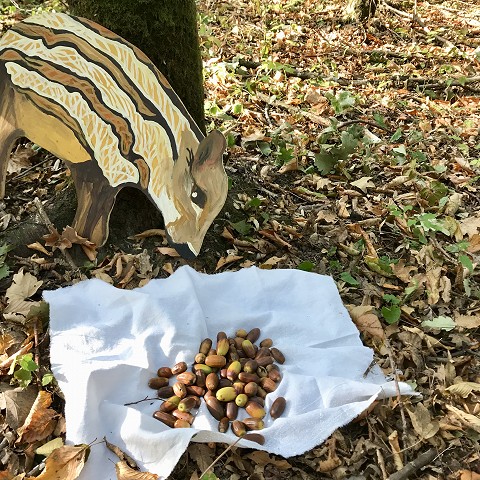 Die Erstklässler des Schulverbundes sammeln Nahrung für die Tiere des Waldes