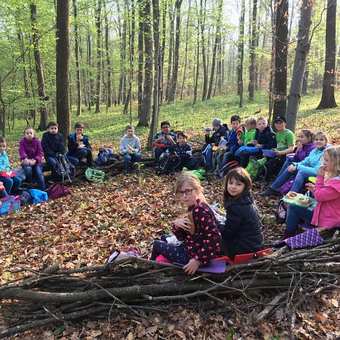 Klasse 3b im Waldklassenzimmer