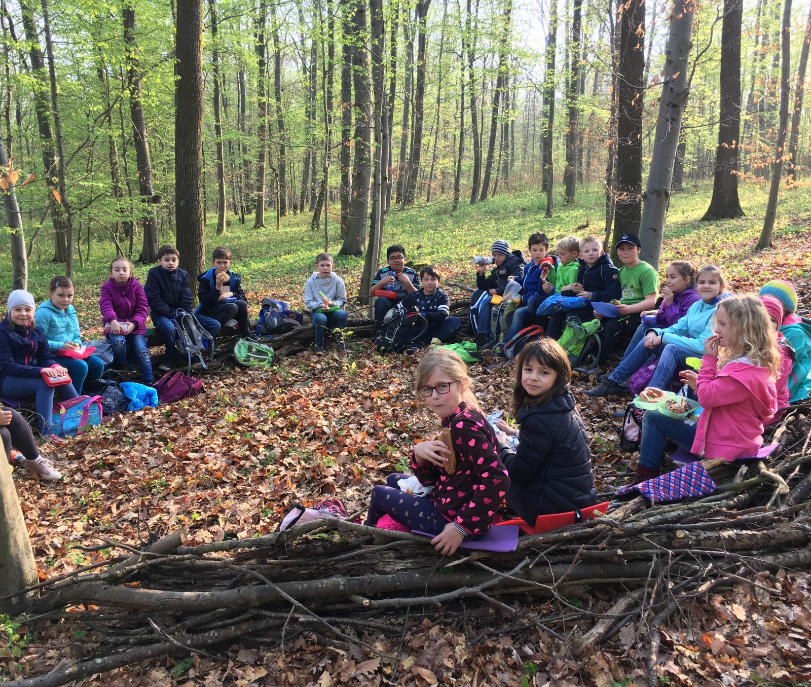 Klasse 3b im Waldklassenzimmer