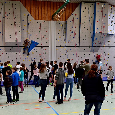 begeisterte Schüler an der Kletterwand