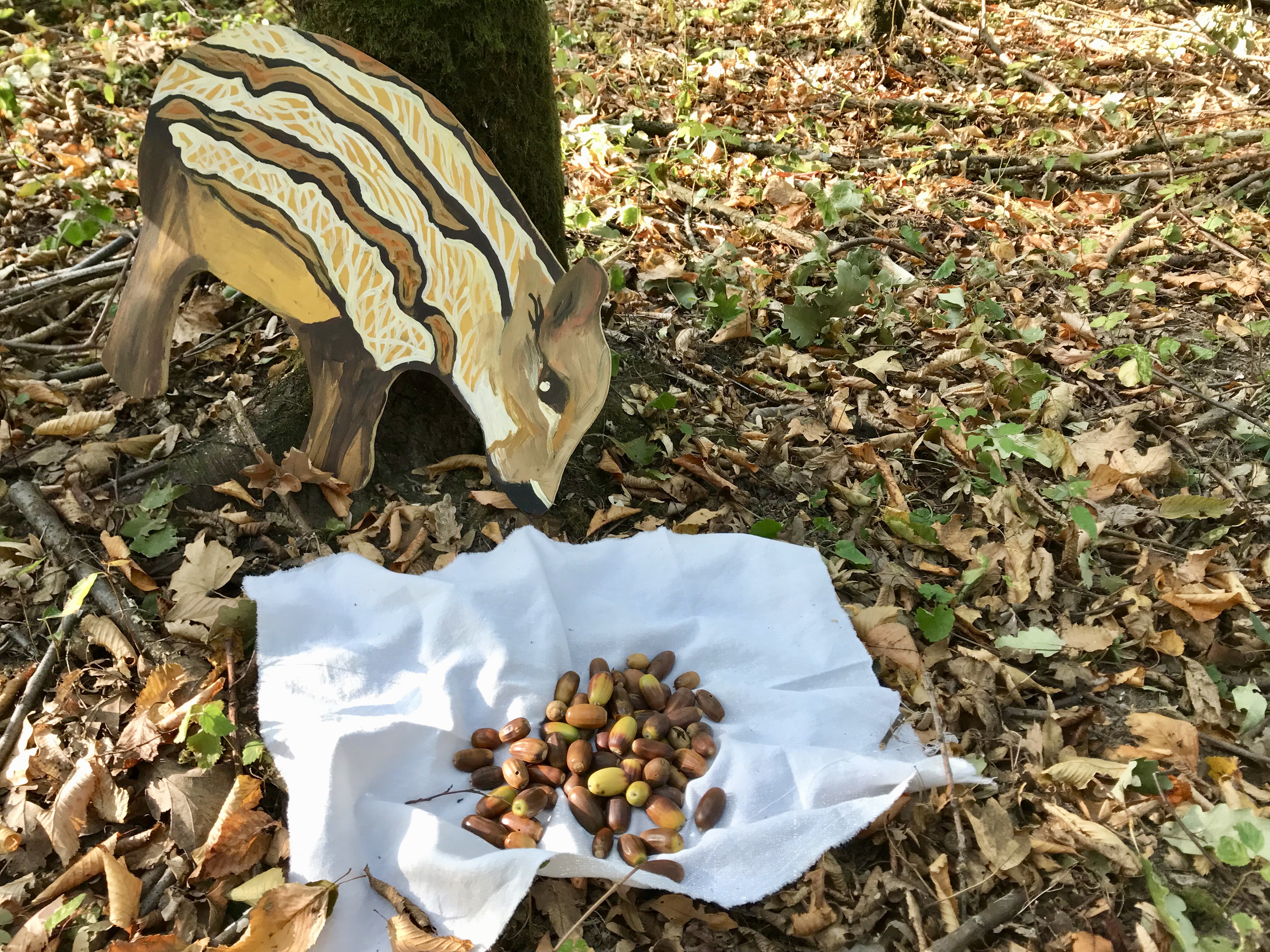 Die Erstklässler des Schulverbundes sammeln Nahrung für die Tiere des Waldes