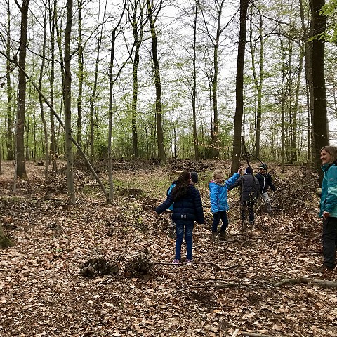 Frühjahr im Waldklassenzimmer