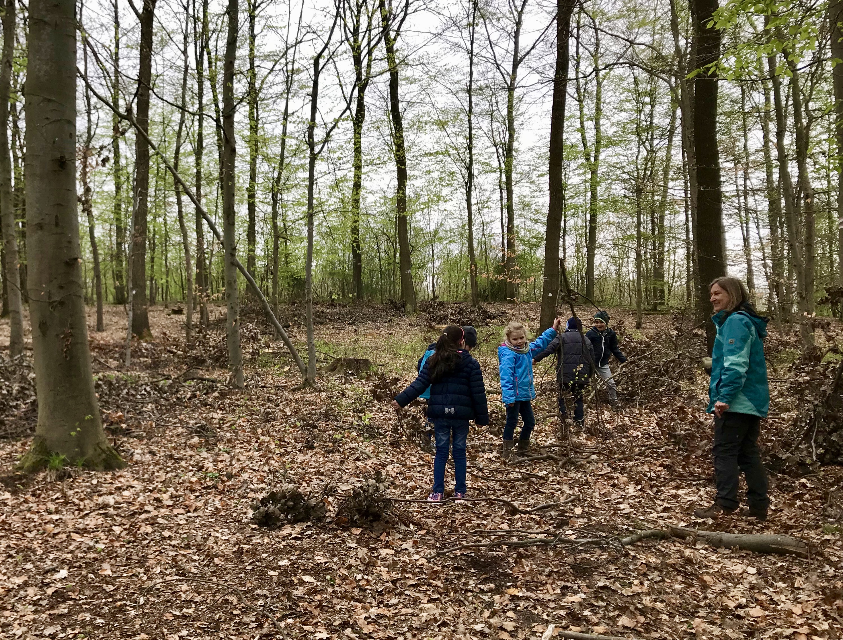 Frühjahr im Waldklassenzimmer