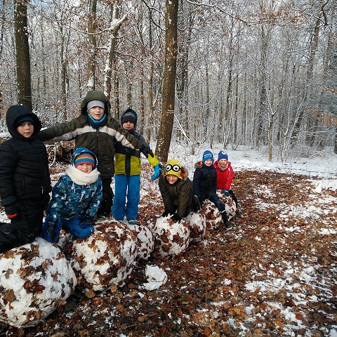 Spurensuche im Winterwald
