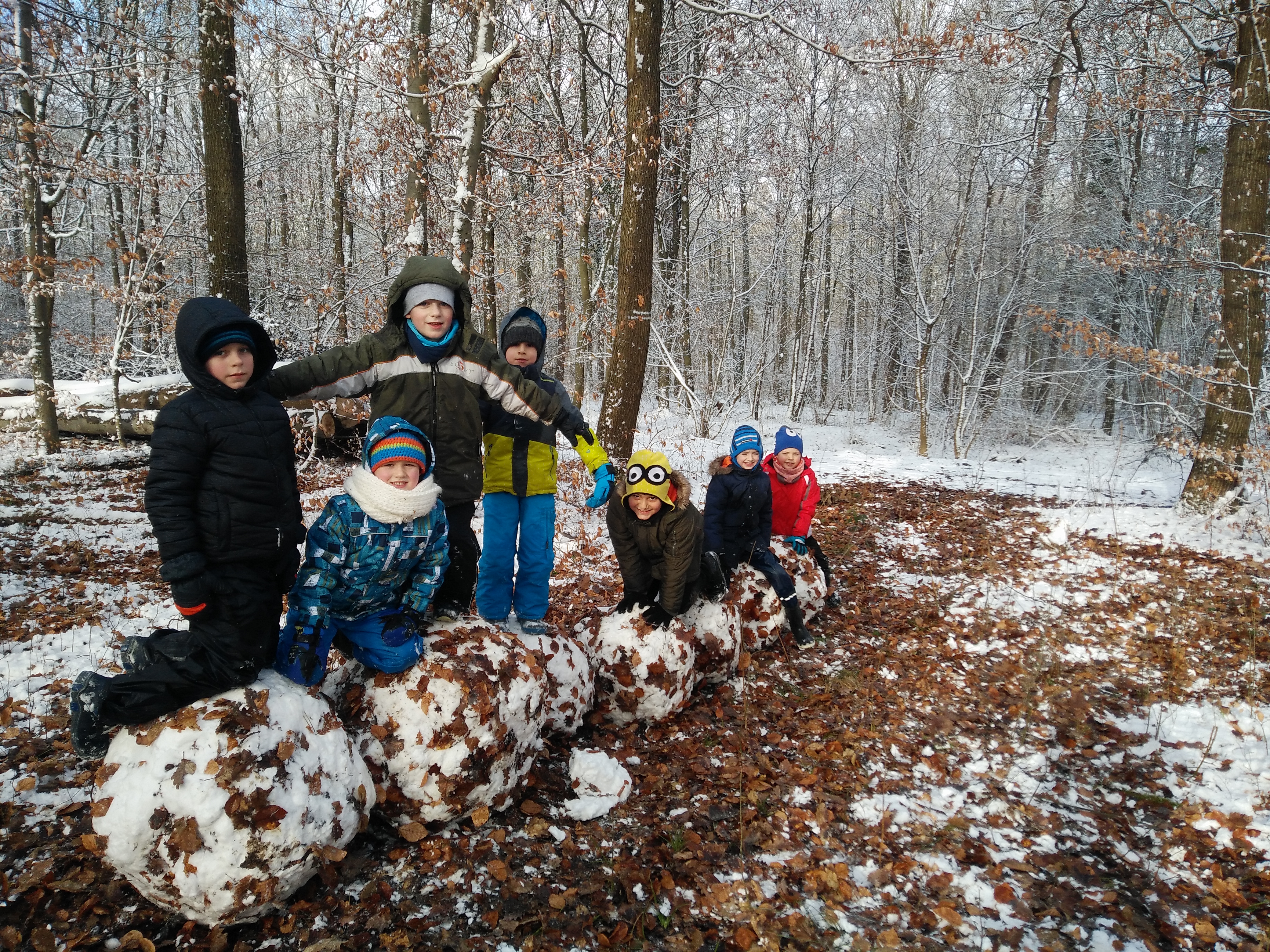 Spurensuche im Winterwald