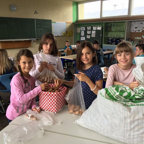 Korkenwettbewerb der Grundschule des Schulverbundes