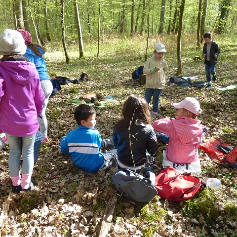 Waldtag der Klasse 2b