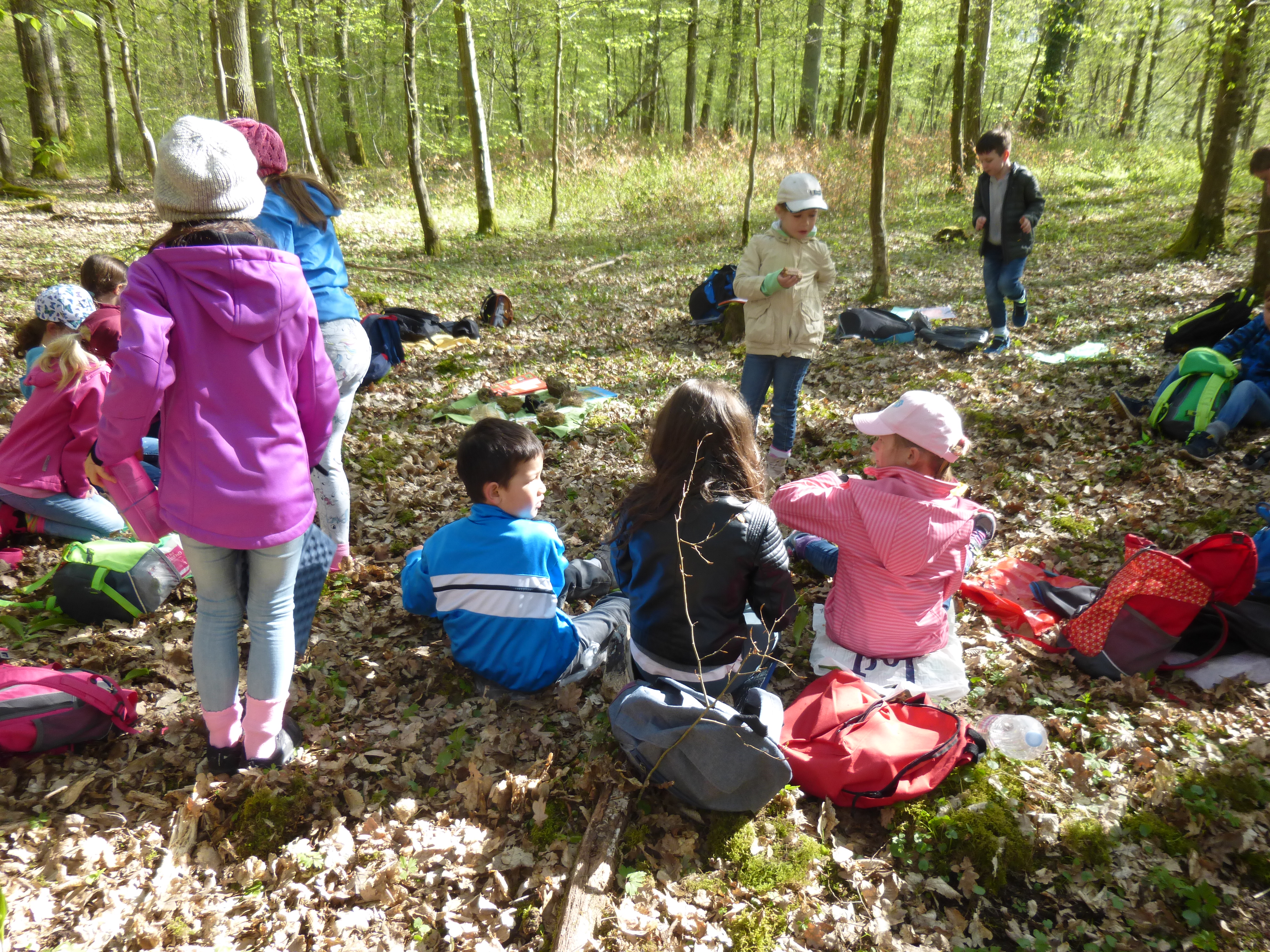 Waldtag der Klasse 2b